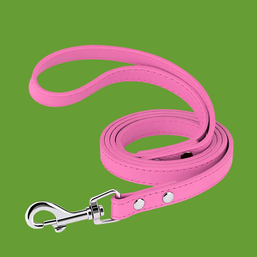 Laisse pour chien en cuir PU de 120 cm Laisse pour chien en cuir souple de 4 pieds Laisse d'entraînement de marche pour animaux de compagnie Durable pour petits chiens moyens Pitbull Chihuahua