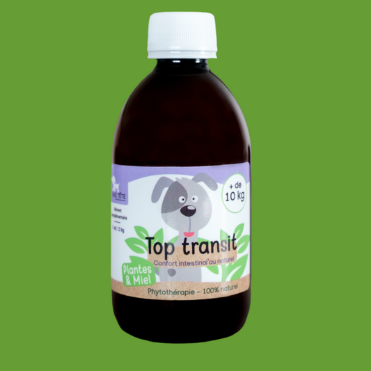 Sirop naturel Top Transit 300 ml pour chiens + 10 kg