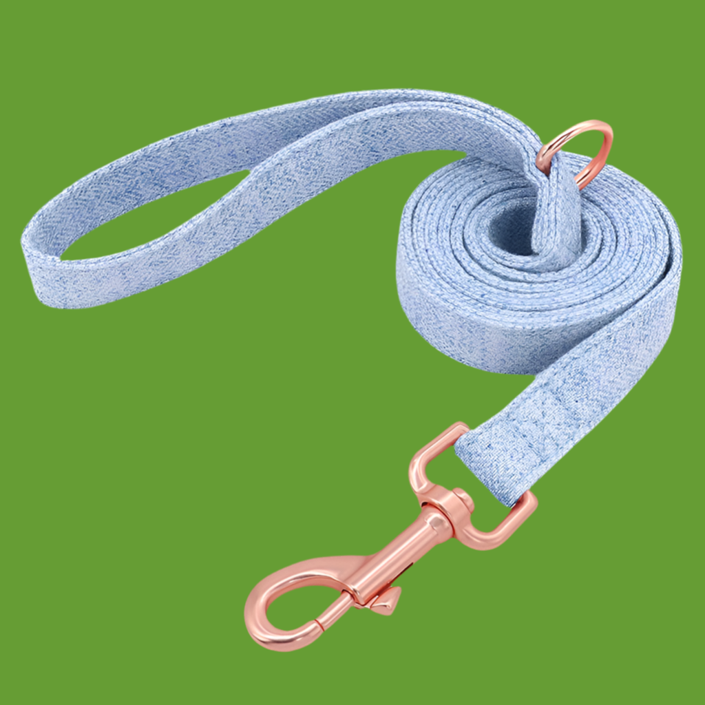 Collier de chien non tissé réglable gravé