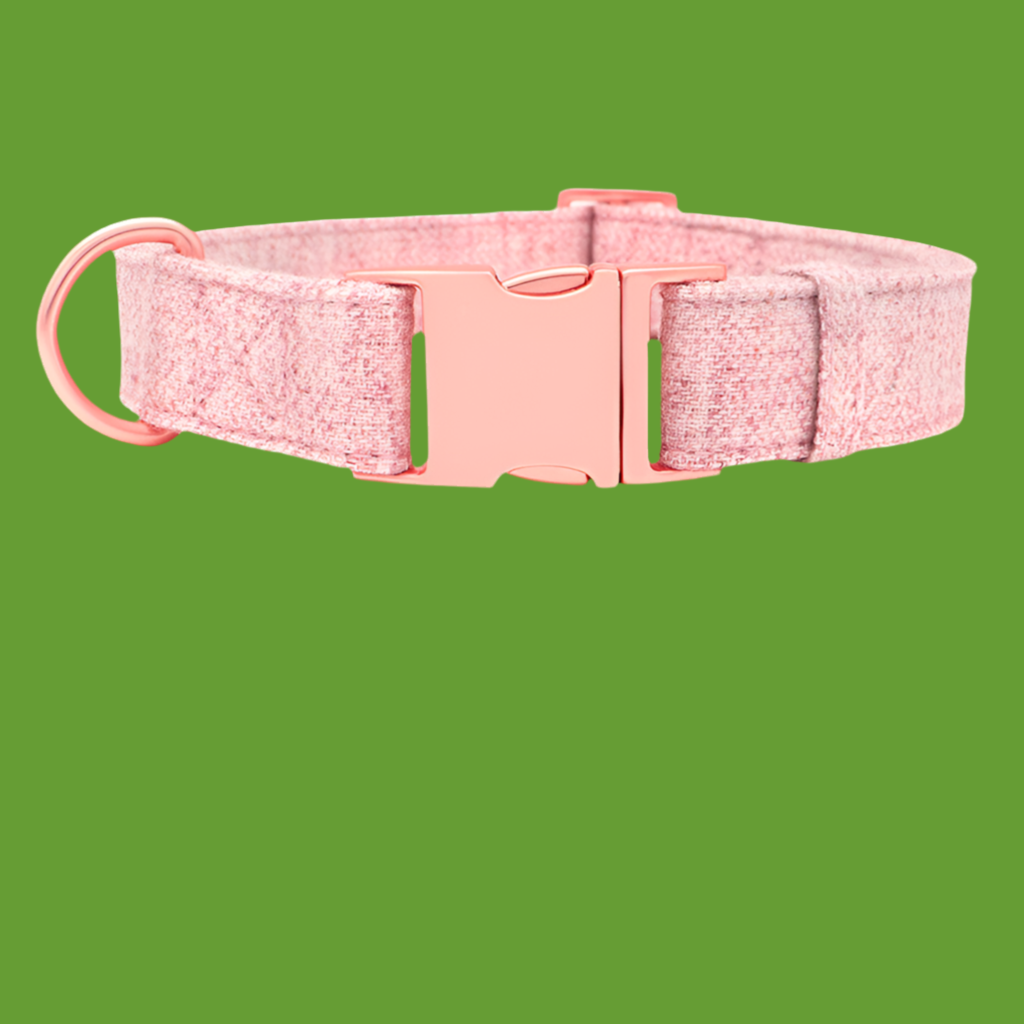 Collier de chien non tissé réglable gravé