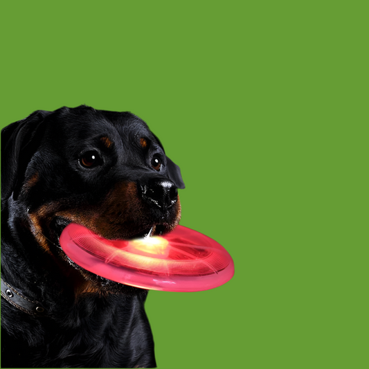 Pet supplies dog toy LED luminous flying disk environmental protection material dog training supplies dog chew toys