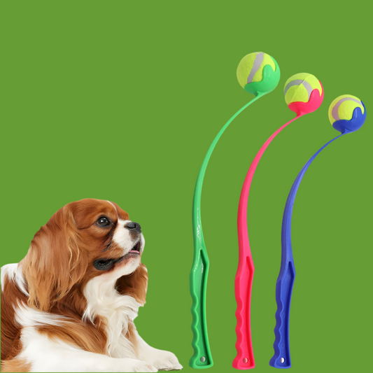 Jouet de lancer de bâton pour animaux de compagnie - Lanceur de balles interactif pour chiens et chats Entraînement, jeu de récupération avec balles en caoutchouc