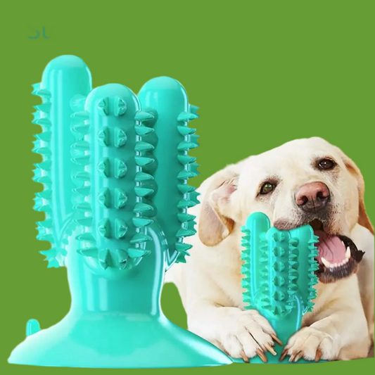 NOUVEAU Brosse à dents pour chien Jouets pour chiens Jouets interactifs Entraînement IQ Nettoyage des dents Durable Petit Moyen Grand Chien Chiot Mâcher