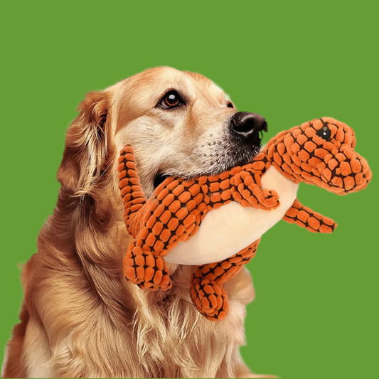 Chats et chiens Jouets de dinosaures en peluche pour animaux de compagnie Jouets interactifs pour chiens à mâcher Peluche Fournitures pour animaux de compagnie Jouets pour chiens pour petits chiens