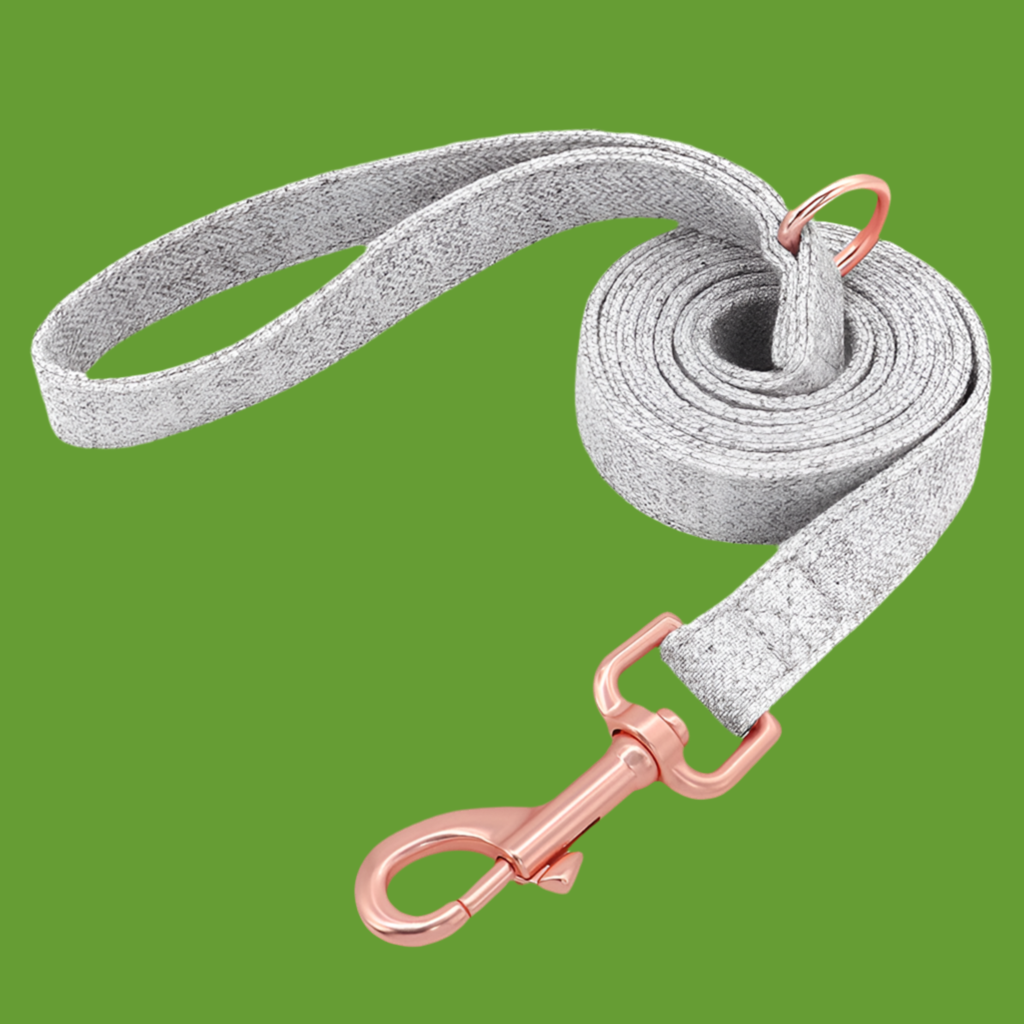 Collier de chien non tissé réglable gravé