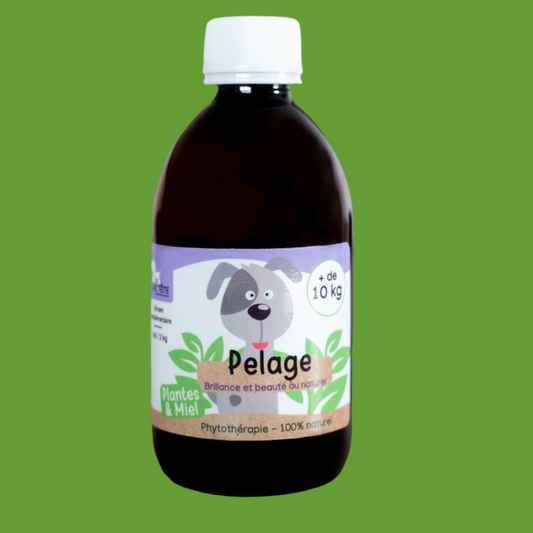 Sirop Naturel Pelage 300mL - Chiens + 10KG