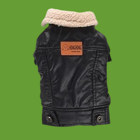 Elvis Dog Jacket (Black) by Doggy Doo Little