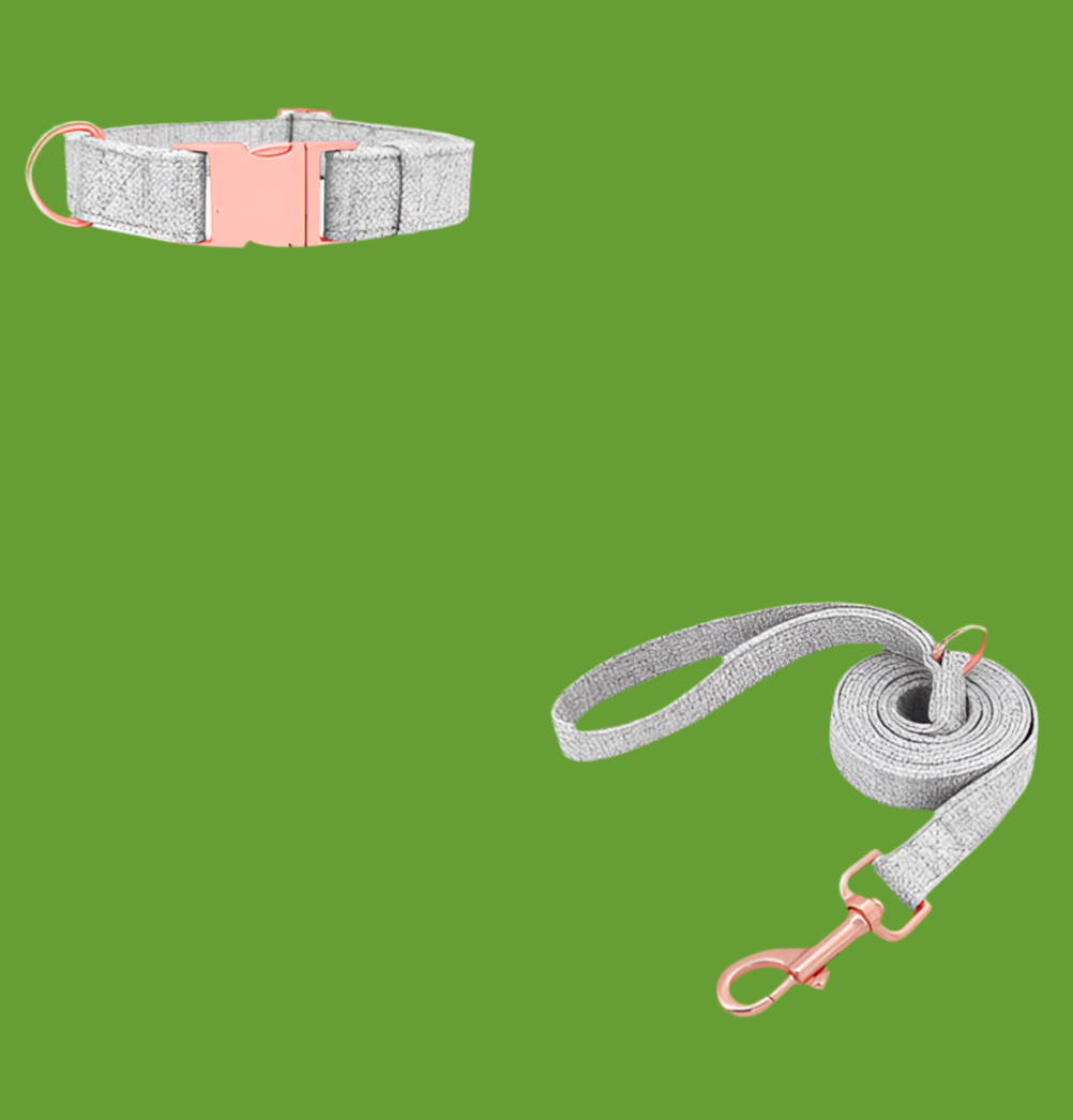 Collier de chien non tissé réglable gravé