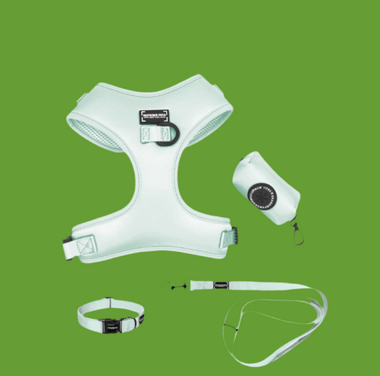 BUNDLE - VERT MENTHE