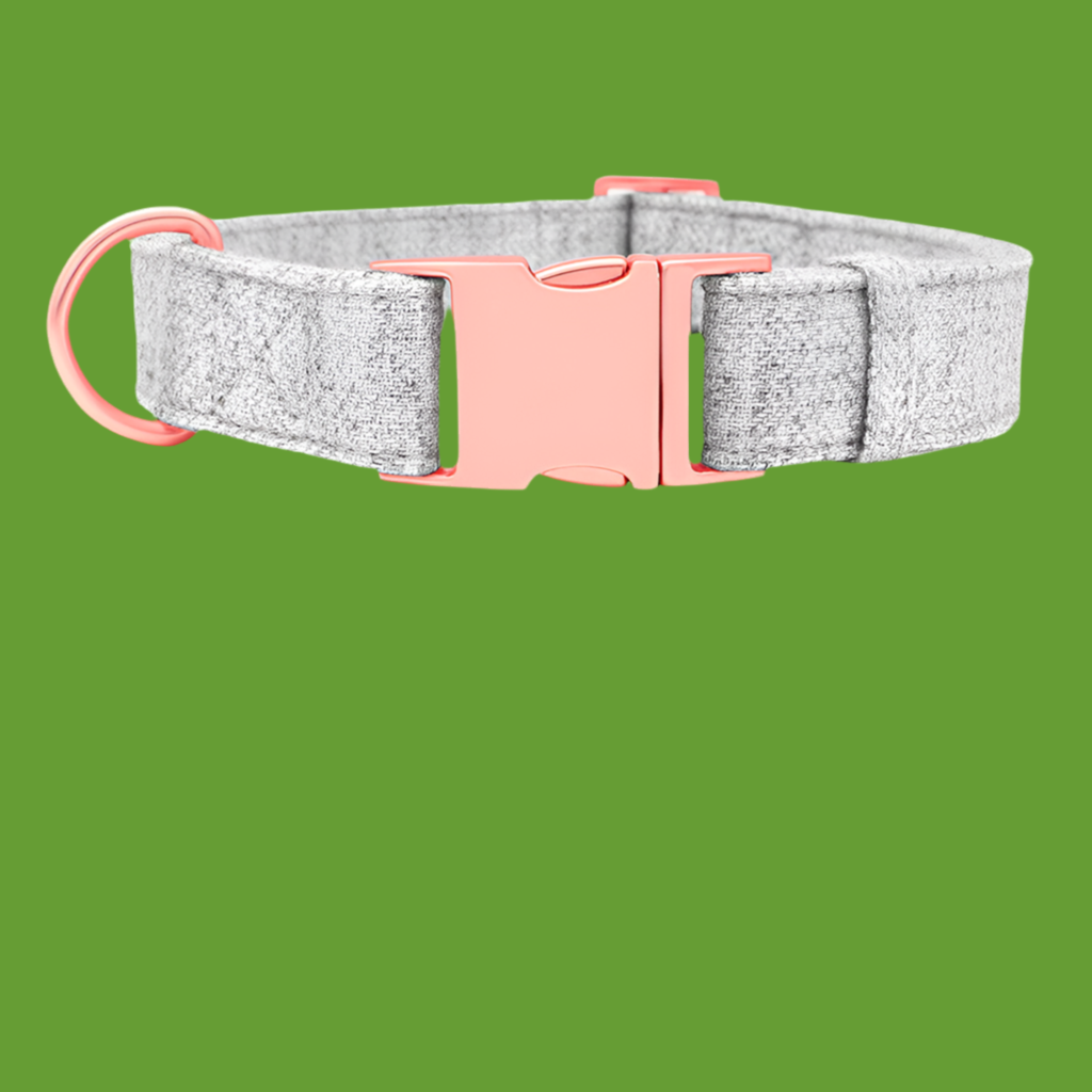 Collier de chien non tissé réglable gravé
