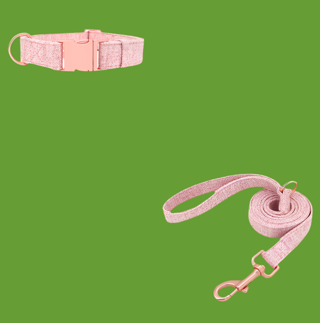 Collier de chien non tissé réglable gravé