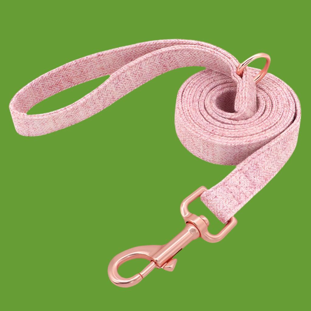 Collier de chien non tissé réglable gravé