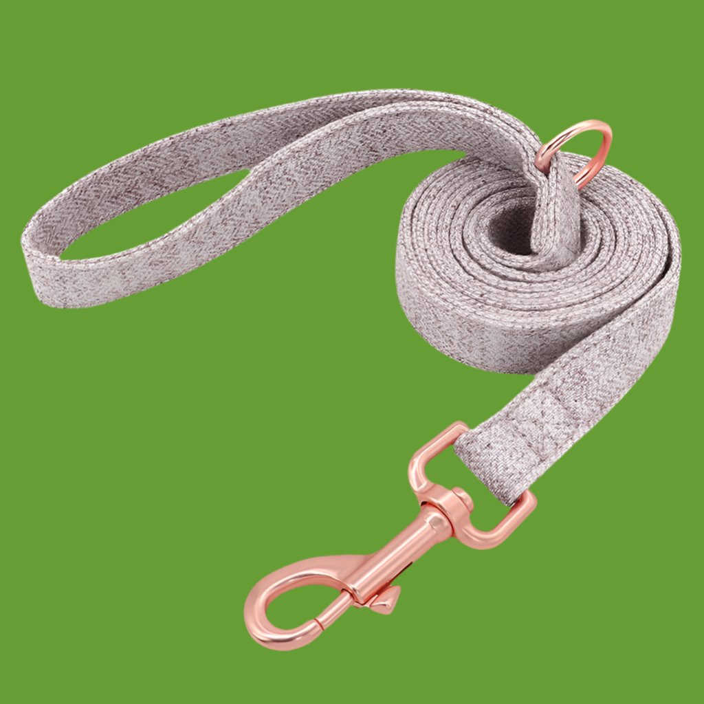 Collier de chien non tissé réglable gravé