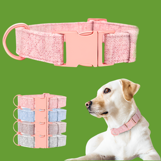 Collier de chien non tissé réglable gravé