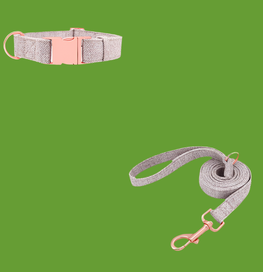Collier de chien non tissé réglable gravé
