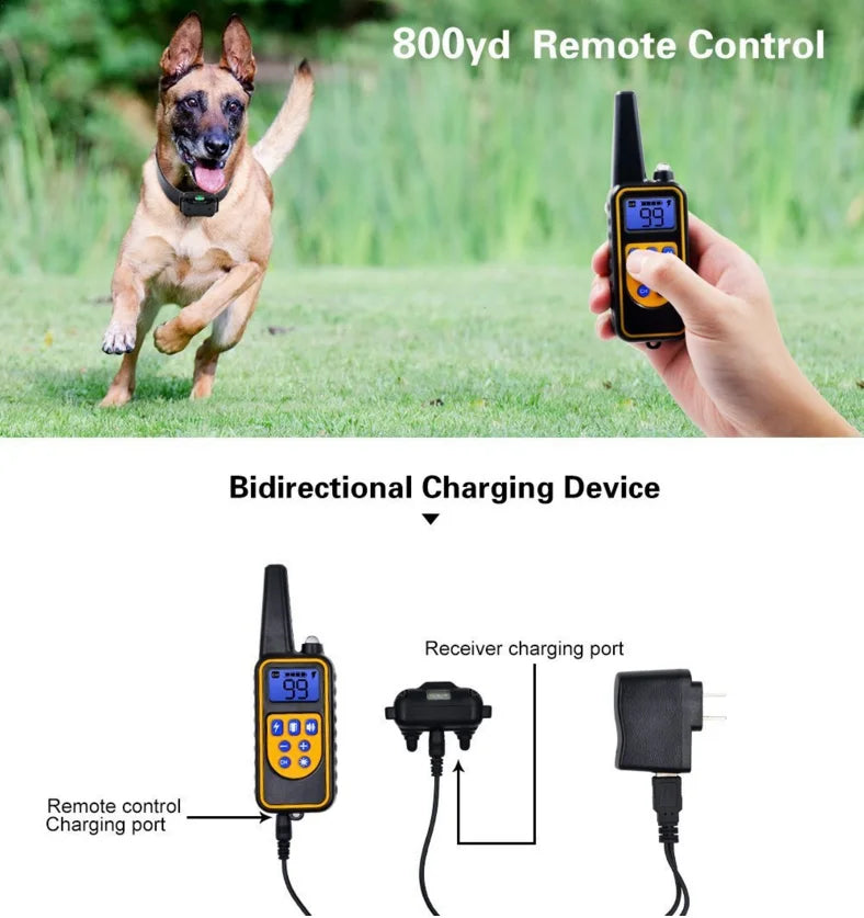 Collier de dressage électrique pour chien Collier d'aboiement pour chien étanche pour animaux de compagnie avec télécommande Dispositif anti-aboiement rechargeable Chiens de toutes tailles