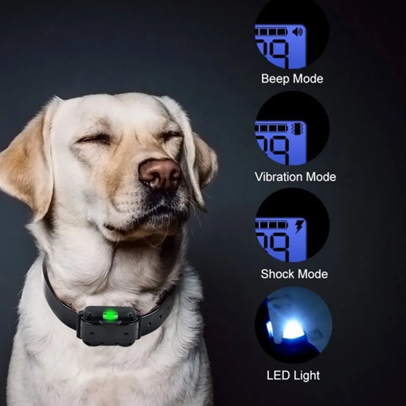 Collier de dressage électrique pour chien Collier d'aboiement pour chien étanche pour animaux de compagnie avec télécommande Dispositif anti-aboiement rechargeable Chiens de toutes tailles