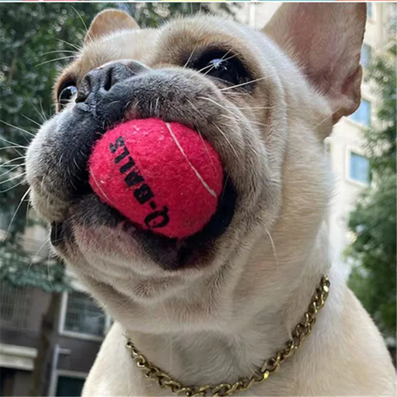 4Pcs/Set Jouet pour chien Q-MONSTER Boules à mâcher en caoutchouc naturel à paroi épaisse pour chiens Tennis Balles rebondissantes interactives pour l'entraînement