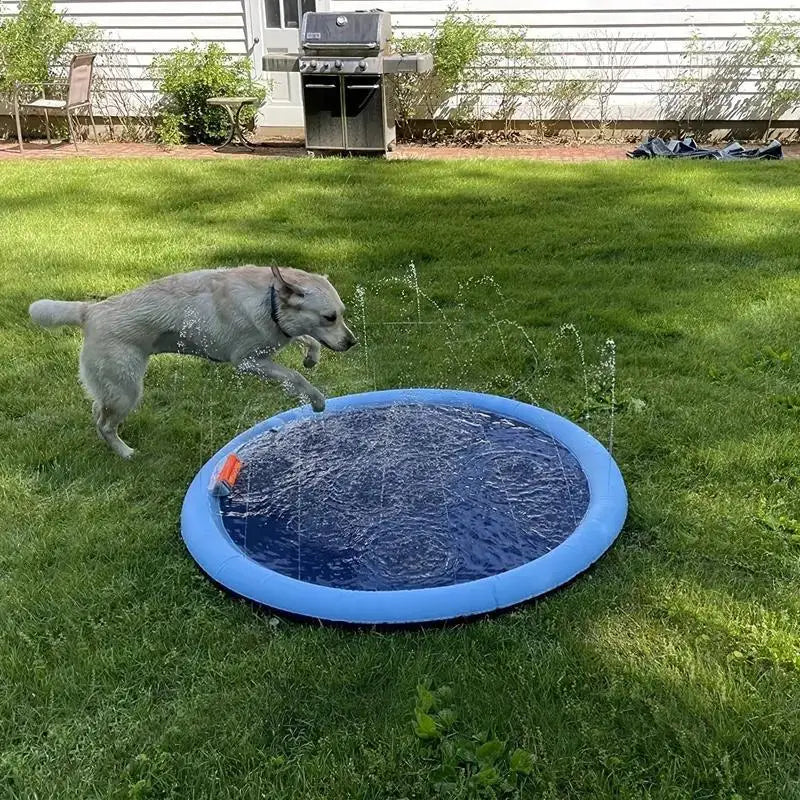 Arroseur d'eau extérieur amusant pour chiens Portable antidérapant pour animaux de compagnie Play Bathing Soaker