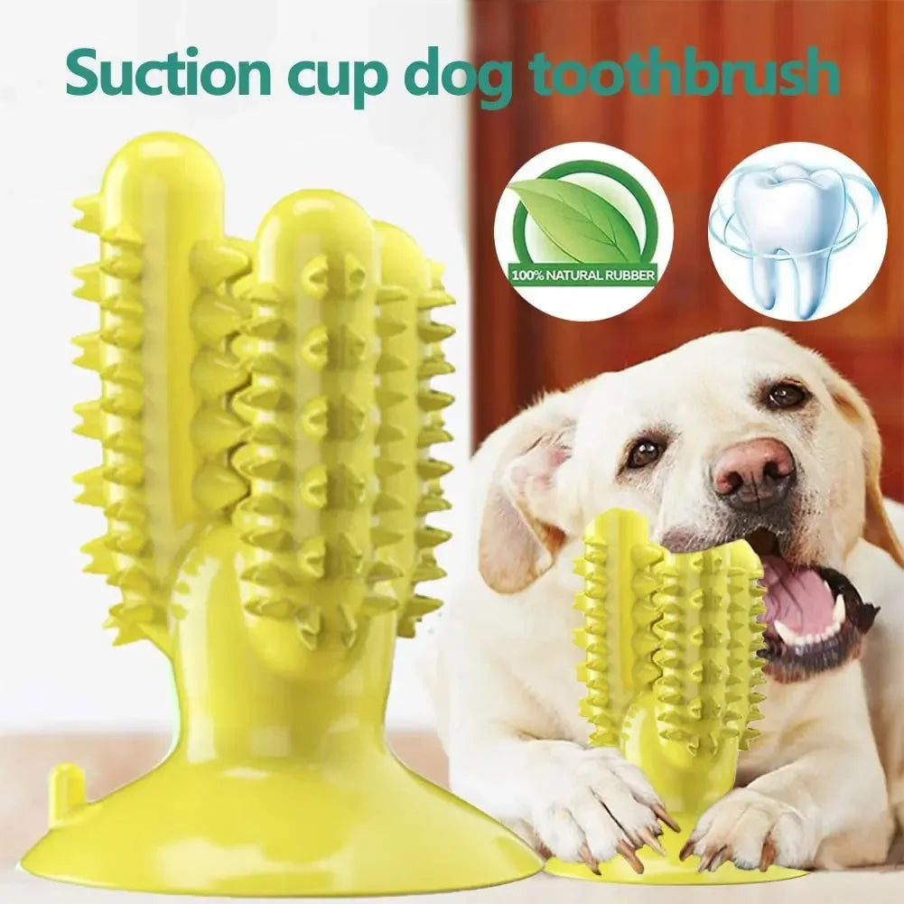 NOUVEAU Brosse à dents pour chien Jouets pour chiens Jouets interactifs Entraînement IQ Nettoyage des dents Durable Petit Moyen Grand Chien Chiot Mâcher