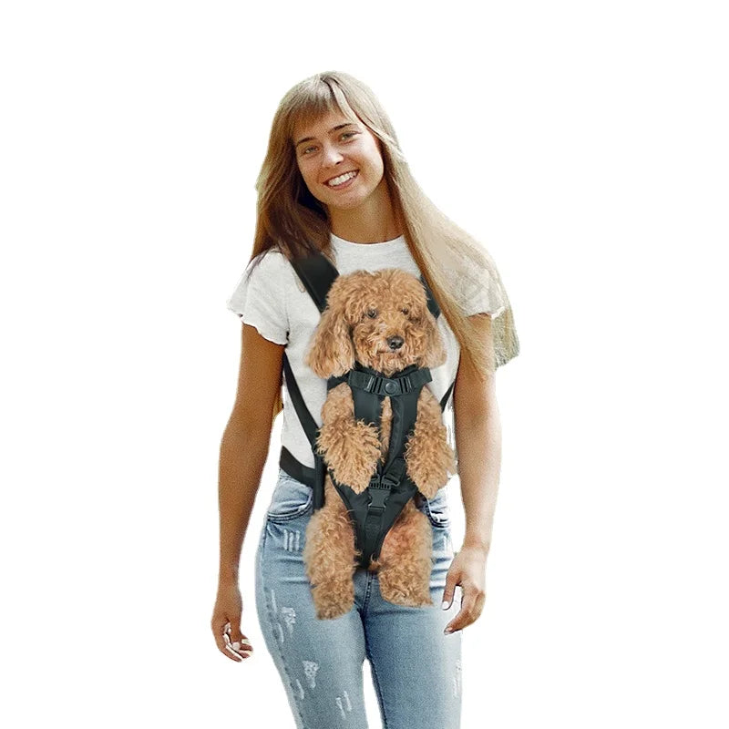 Porte-animaux de compagnie Transport confortable pour les petits chats Chiens Sac à dos Voyage Sac sortant respirant Sac de transport durable pour chien de compagnie