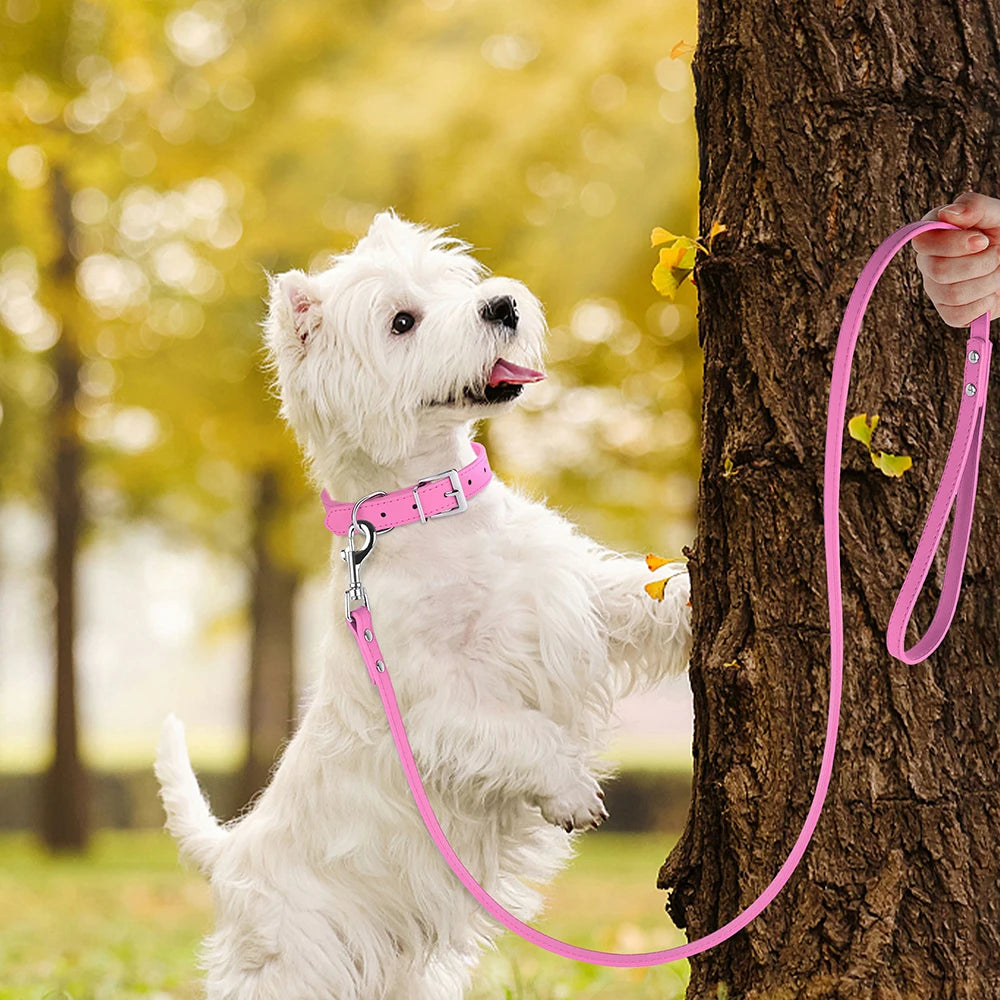 Laisse pour chien en cuir PU de 120 cm Laisse pour chien en cuir souple de 4 pieds Laisse d'entraînement de marche pour animaux de compagnie Durable pour petits chiens moyens Pitbull Chihuahua