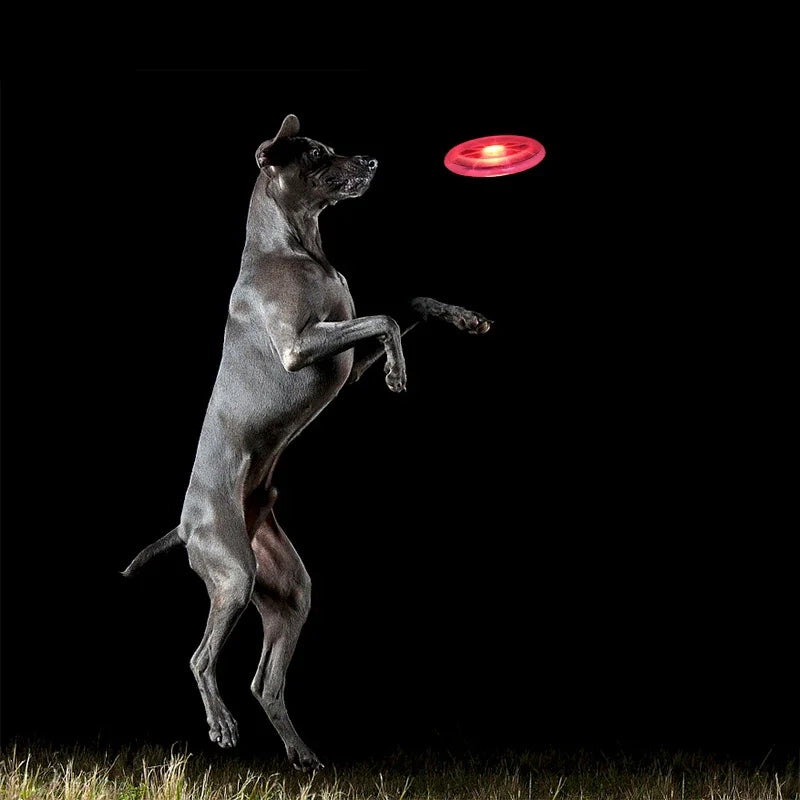 Pet supplies dog toy LED luminous flying disk environmental protection material dog training supplies dog chew toys
