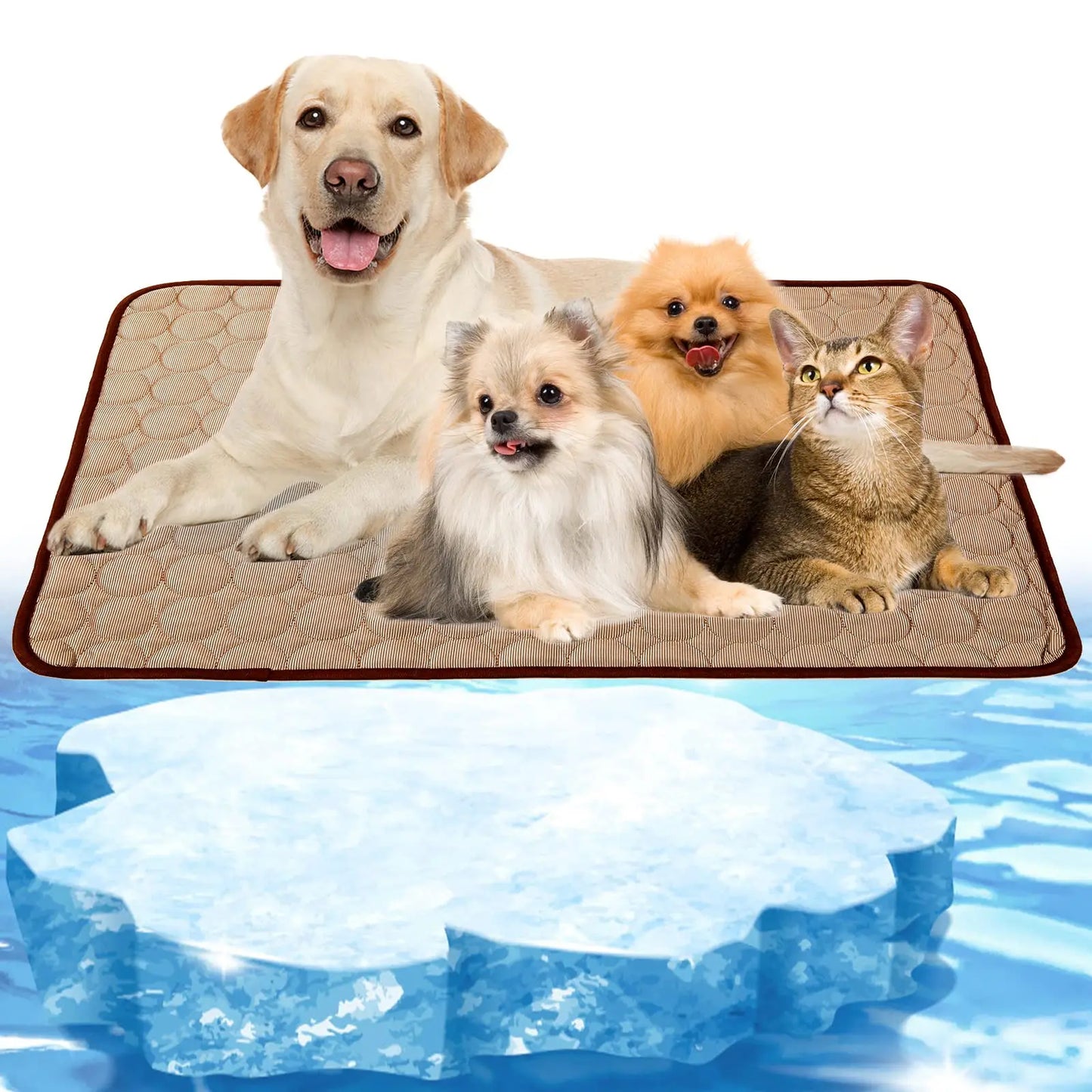 Tapis de refroidissement pour animaux de compagnie pour chiens et chats, résistant à l'humidité, respirant, durable, coussin de confort d'été, petits grands animaux de compagnie, utilisation