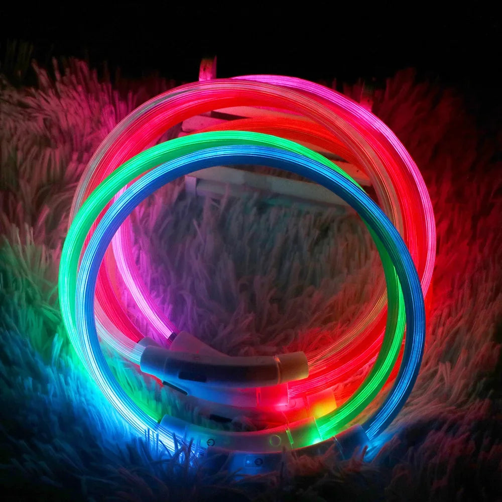 Collier de chien Led Lumineux Usb Cat Dog Collar 3 Modes Led Light Glowing Loss Prevention LED Collar For Dogs Pet Dog Accessories