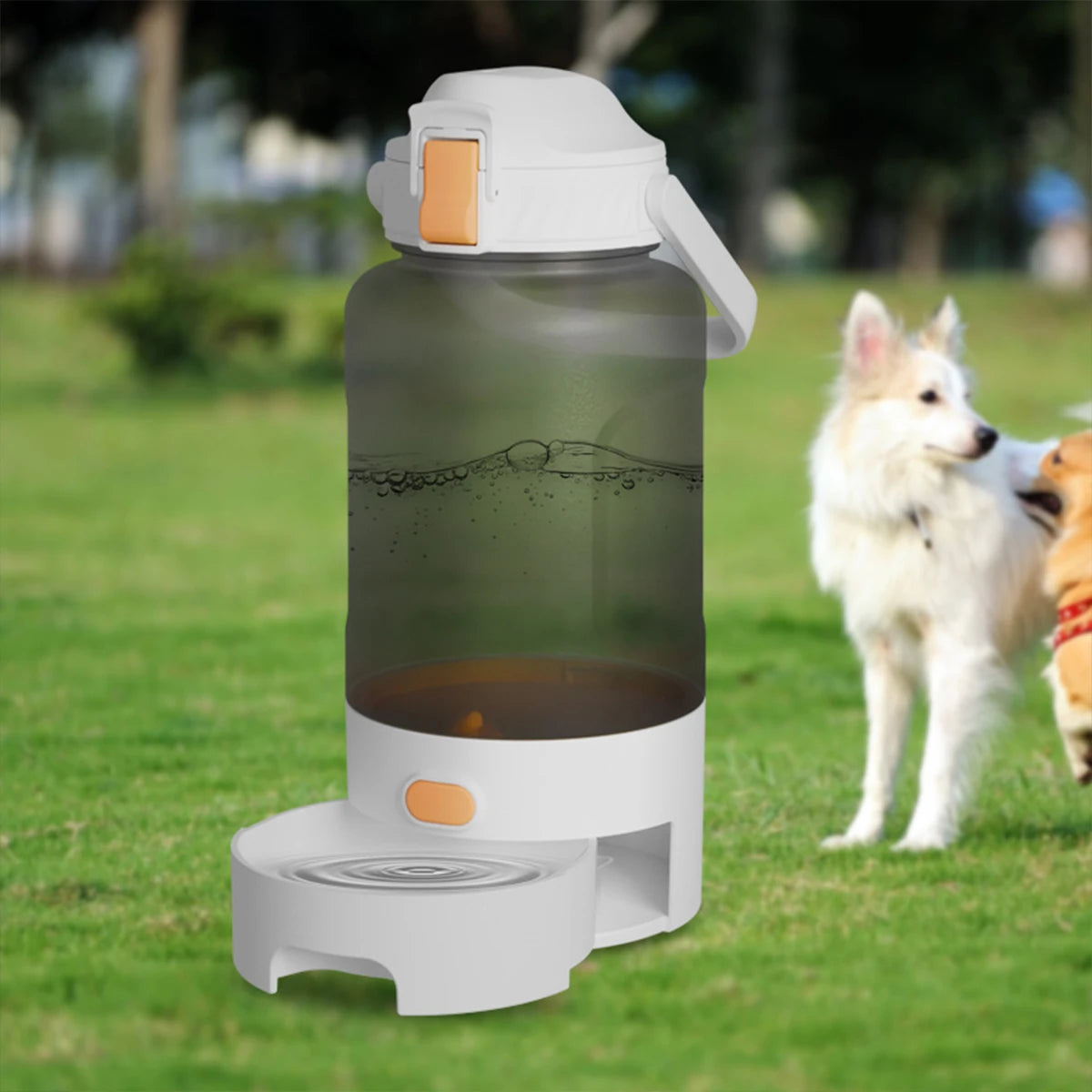 Tasse d'eau pour chien d'une seule pièce distributeur d'eau potable portable bouteille d'eau pour chien tasse portable pour animaux de compagnie stockage d'eau potable intégrée