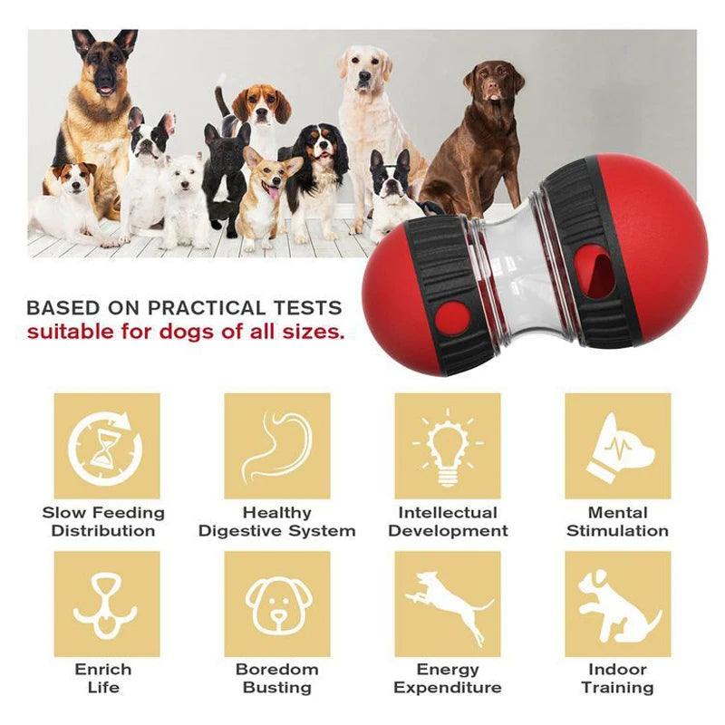 Nouveau jouet pour chien pour petits, moyens, grands chiens, chats, mangeoireur lente, pour animaux de compagnie, améliorer le QI, entraînement intérieur, jouets pour chiots, Chihuahua Beagle, fournitures pour animaux de compagnie