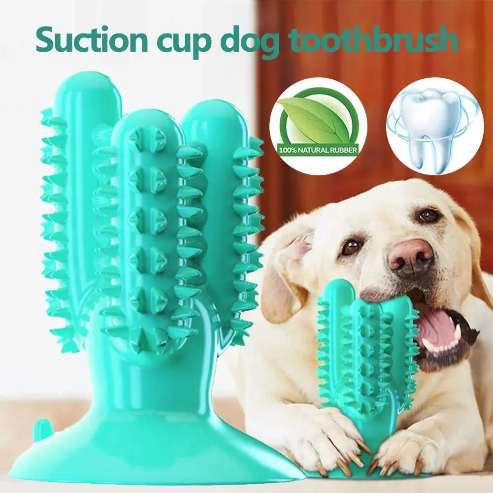NOUVEAU Brosse à dents pour chien Jouets pour chiens Jouets interactifs Entraînement IQ Nettoyage des dents Durable Petit Moyen Grand Chien Chiot Mâcher