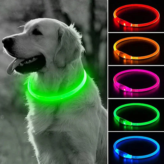 Collier de chien Led Lumineux Usb Cat Dog Collar 3 Modes Led Light Glowing Loss Prevention LED Collar For Dogs Pet Dog Accessories