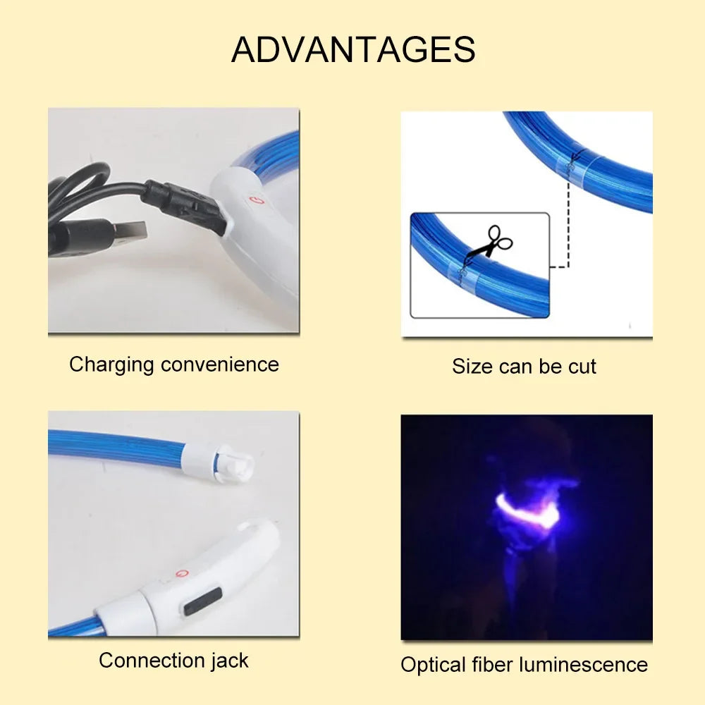 Collier de chien Led Lumineux Usb Cat Dog Collar 3 Modes Led Light Glowing Loss Prevention LED Collar For Dogs Pet Dog Accessories