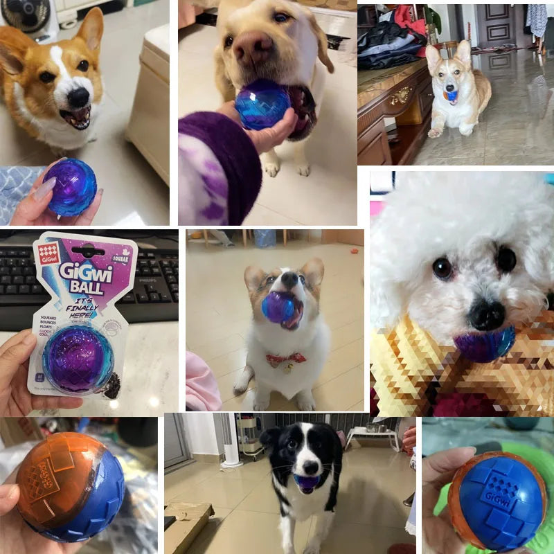 Jouets pour chiens pour grands chiens Balle d'entraînement interactive Chiot Pitbull Labrador Saucisse Samoyède Chien Jeu interactif en plein air Jouets à mâcher