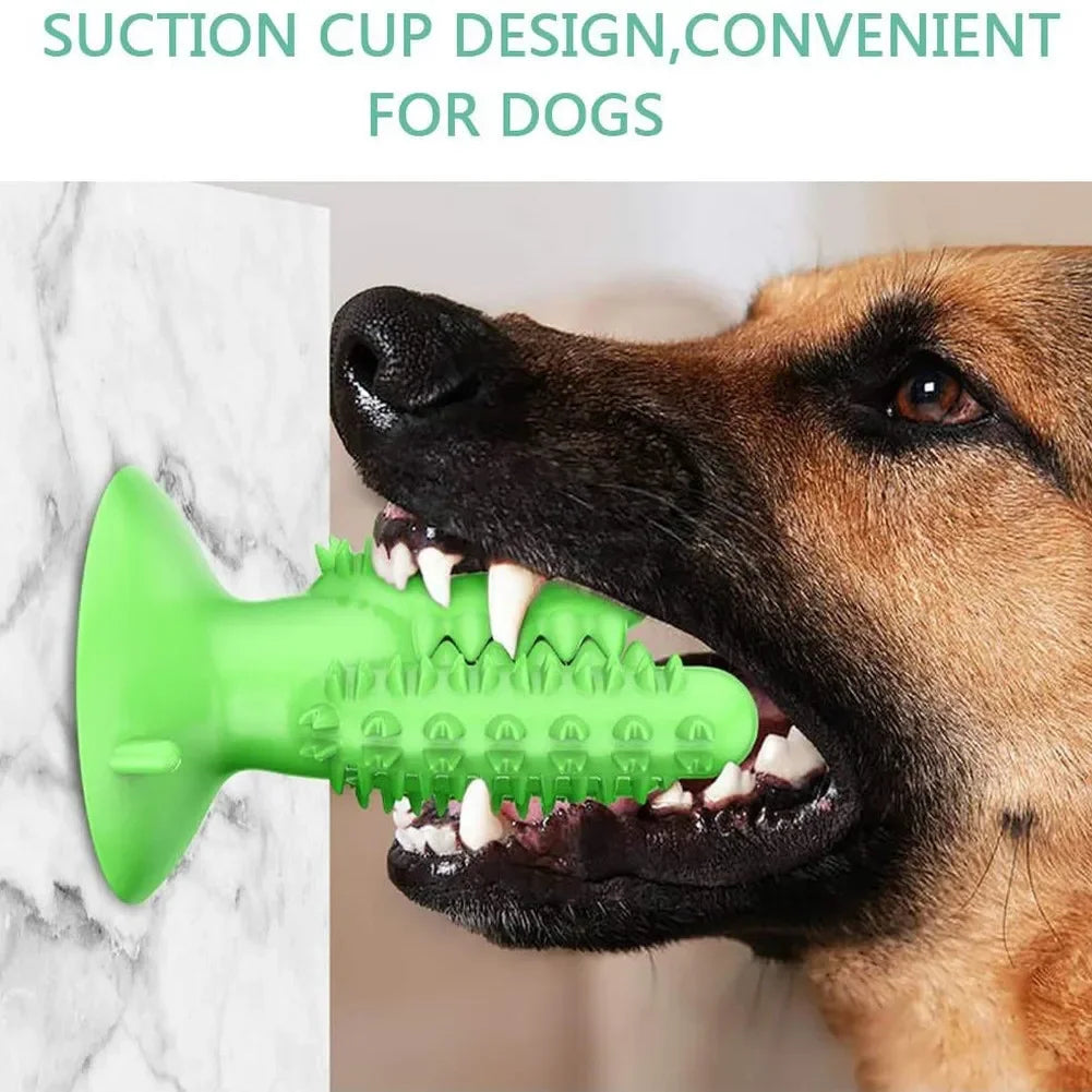 NOUVEAU Brosse à dents pour chien Jouets pour chiens Jouets interactifs Entraînement IQ Nettoyage des dents Durable Petit Moyen Grand Chien Chiot Mâcher