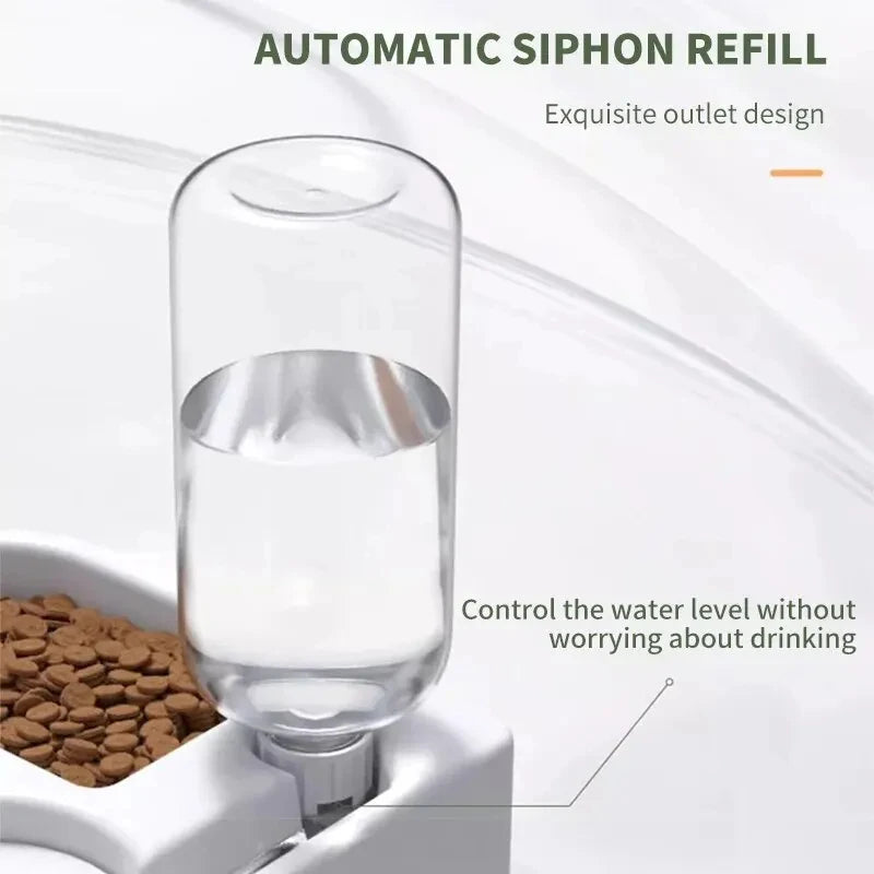 Bol à boire automatique pour animaux de compagnie, bol pour chat étanche à l'humidité, bassin pour chien, double usage, multifonctionnel, boisson et alimentation