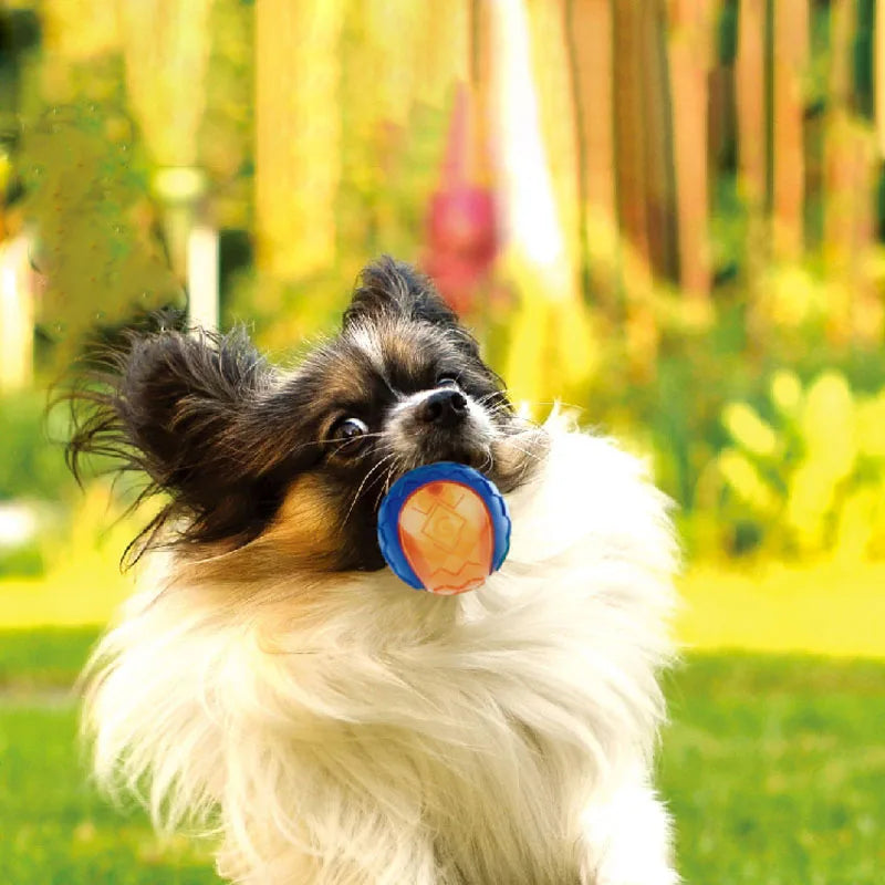 Jouets pour chiens pour grands chiens Balle d'entraînement interactive Chiot Pitbull Labrador Saucisse Samoyède Chien Jeu interactif en plein air Jouets à mâcher