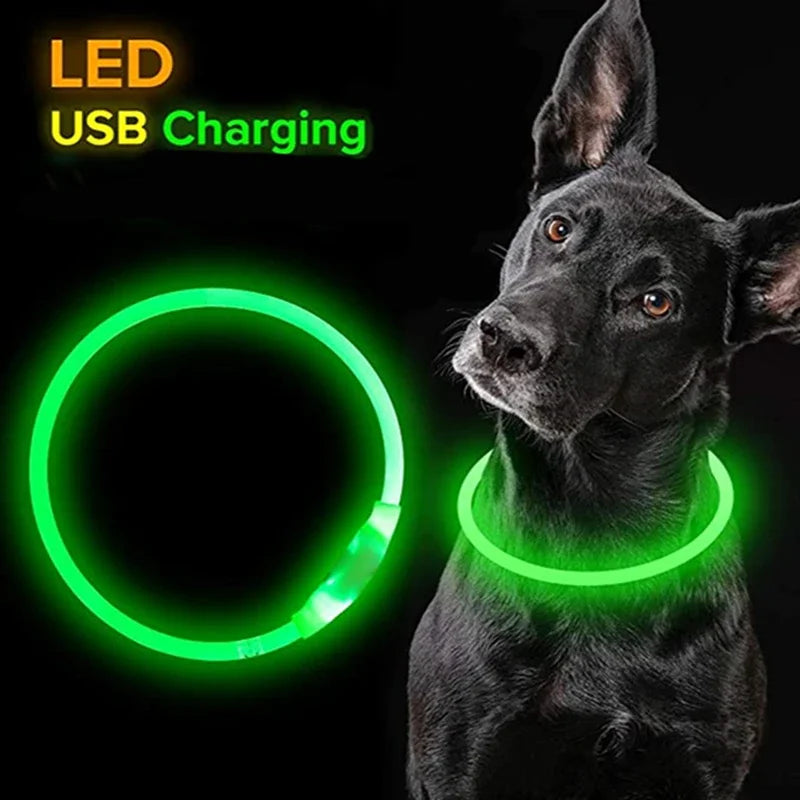 Collier de chien Led Lumineux Usb Cat Dog Collar 3 Modes Led Light Glowing Loss Prevention LED Collar For Dogs Pet Dog Accessories