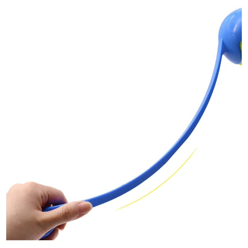 Jouet de lancer de bâton pour animaux de compagnie - Lanceur de balles interactif pour chiens et chats Entraînement, jeu de récupération avec balles en caoutchouc