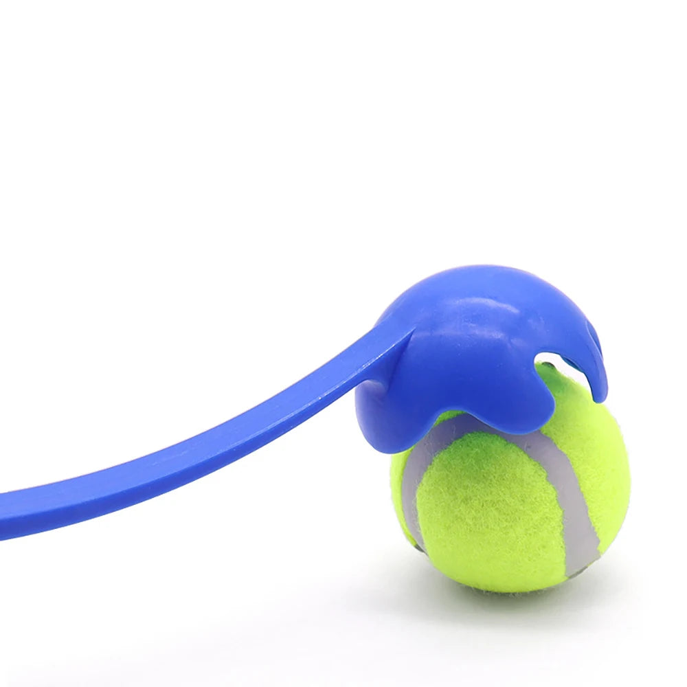 Jouet de lancer de bâton pour animaux de compagnie - Lanceur de balles interactif pour chiens et chats Entraînement, jeu de récupération avec balles en caoutchouc