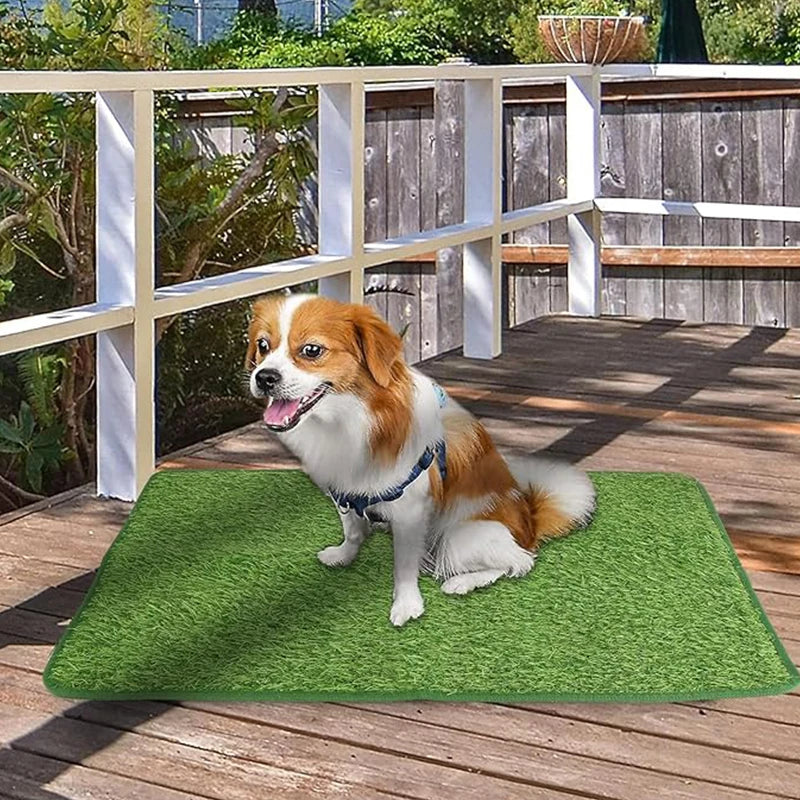 Grand tapis de toilette pour chien, tapis de toilette intérieur et extérieur, entraînement à la propreté de l'herbe, tapis de pot, tapis de pot pipi, tapis de pot, accessoires pour animaux de compagnie, 3 tailles