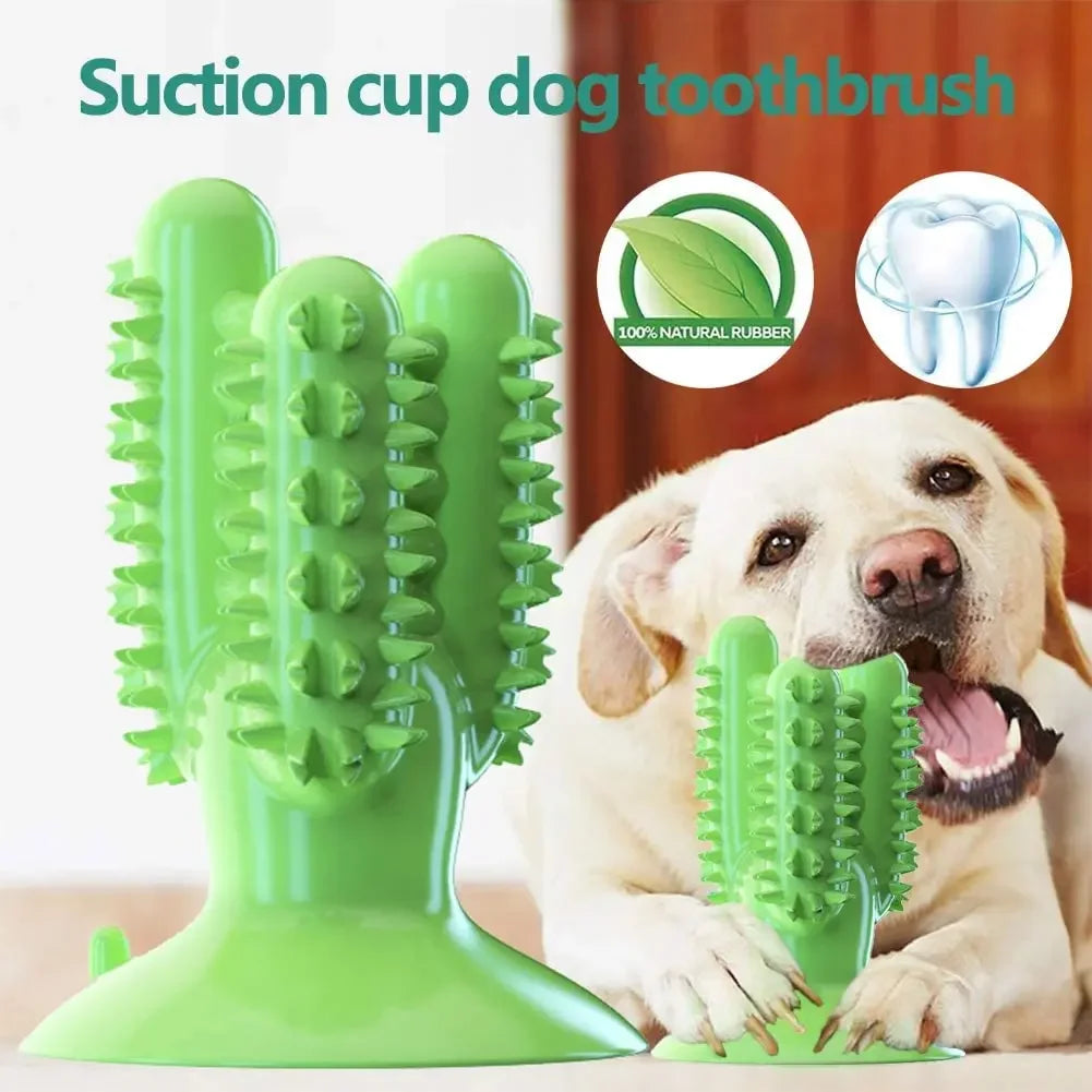 NOUVEAU Brosse à dents pour chien Jouets pour chiens Jouets interactifs Entraînement IQ Nettoyage des dents Durable Petit Moyen Grand Chien Chiot Mâcher