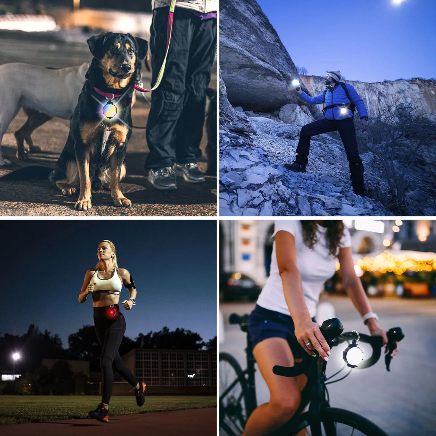 2 Pack LED Dog Collar Light Cat Pet Luminous Pendant Flashlight USB Night Safety Dog Lights for Night Walking Running Camping