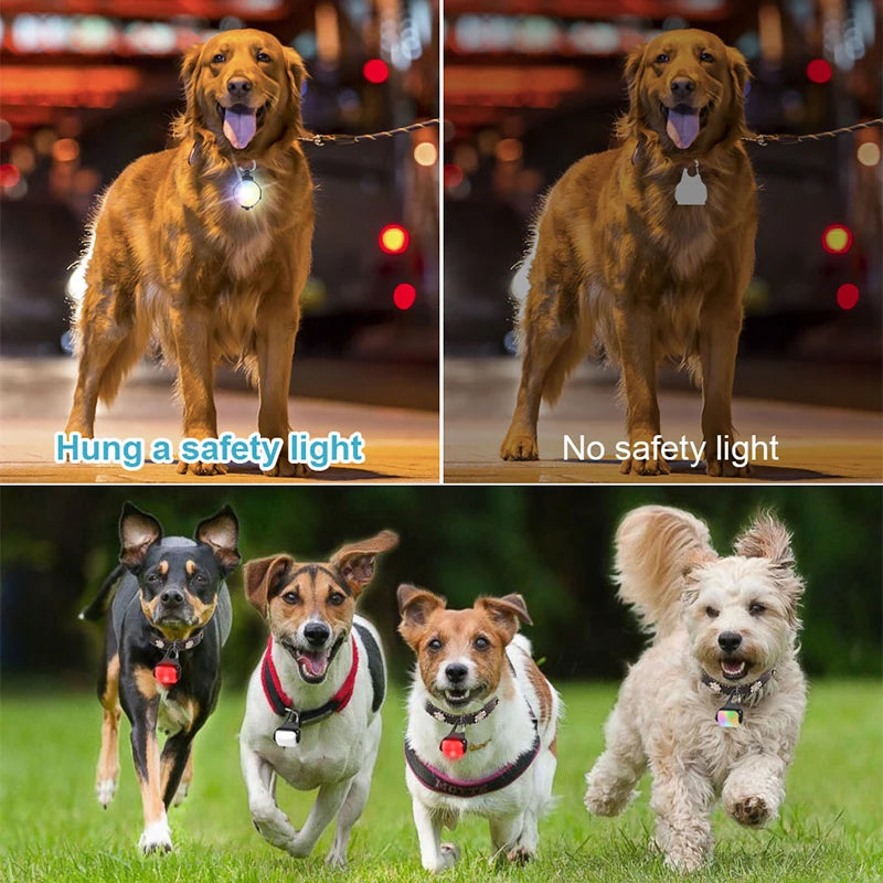 2 Pack LED Dog Collar Light Cat Pet Luminous Pendant Flashlight USB Night Safety Dog Lights for Night Walking Running Camping